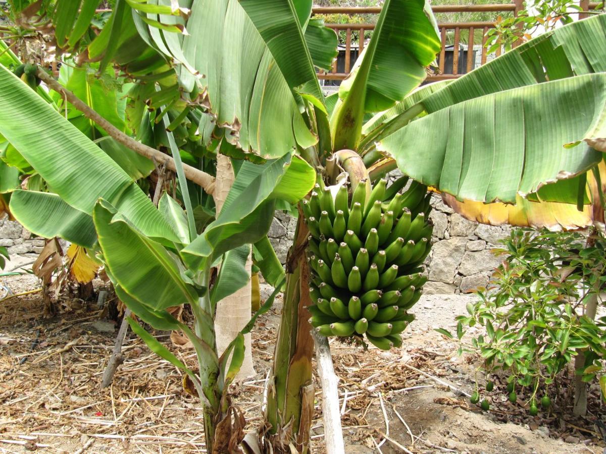 Finca El Moral プエルト・デ・モガン エクステリア 写真